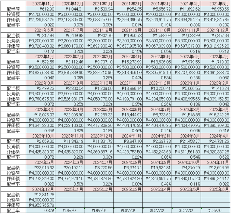 フィリピン株 配当金 Cash Dividend 2024年12月