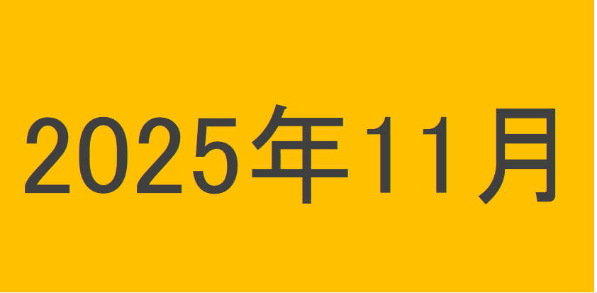 のりくんの2025年11月投資運用結果